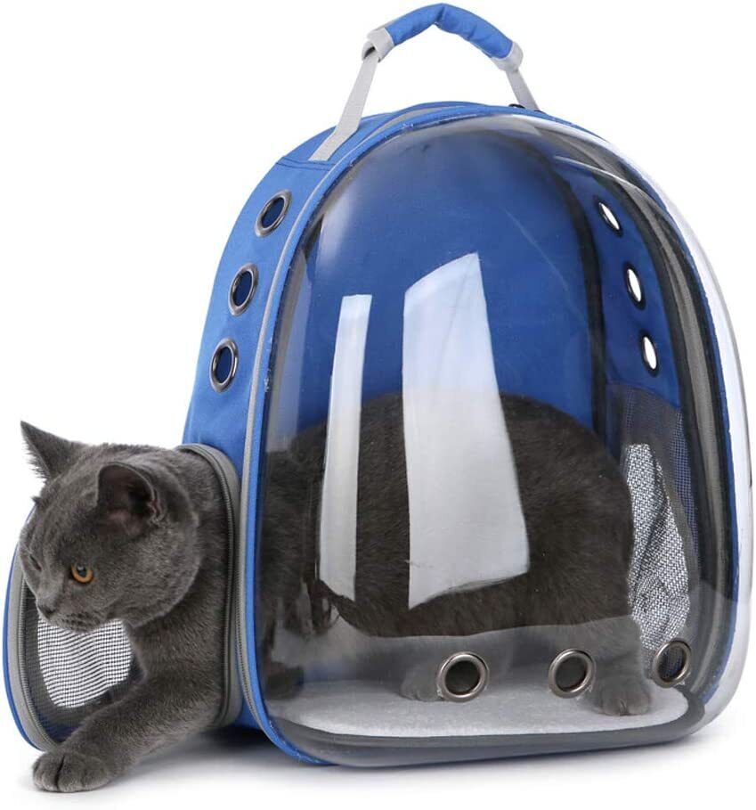 Bubble Capsule Cat Carrier BookBag Shedzcare